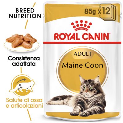 Royal Canin Maine Coon Umido in Salsa per gatti 12X85GR Royal Canin Maine Coon Umido in Salsa per gatti 12X85GR